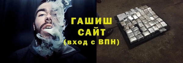 винт Ельня
