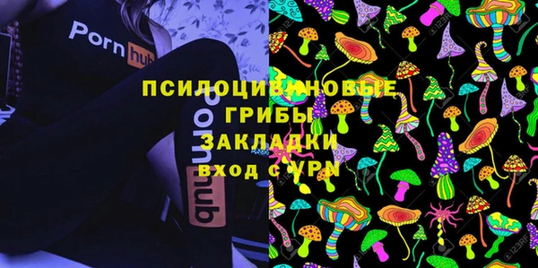 синтетический гашиш Елизово