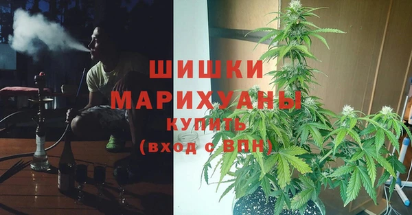 винт Ельня