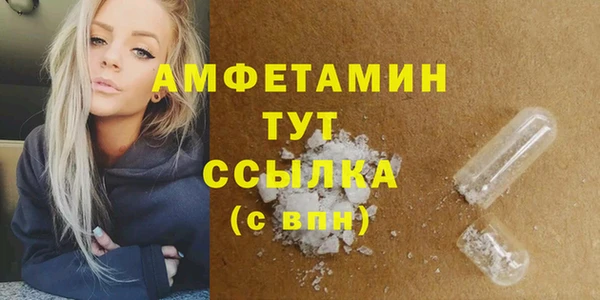 винт Ельня