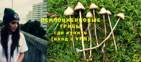 синтетический гашиш Елизово