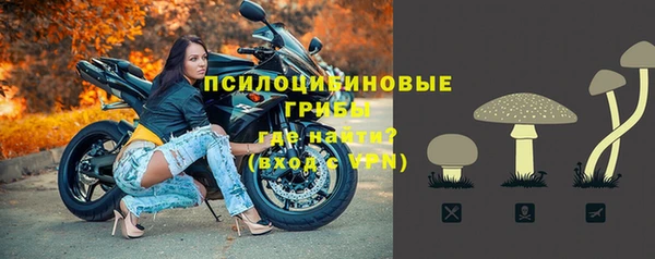 винт Ельня