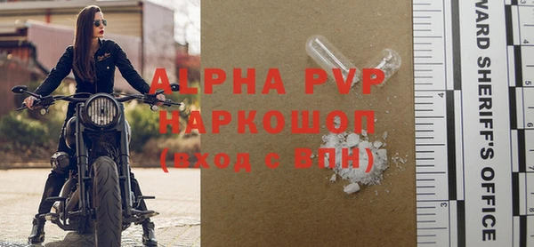 винт Ельня