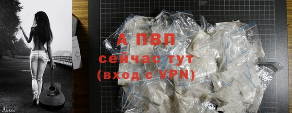 винт Ельня