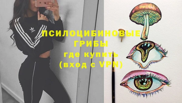 винт Ельня